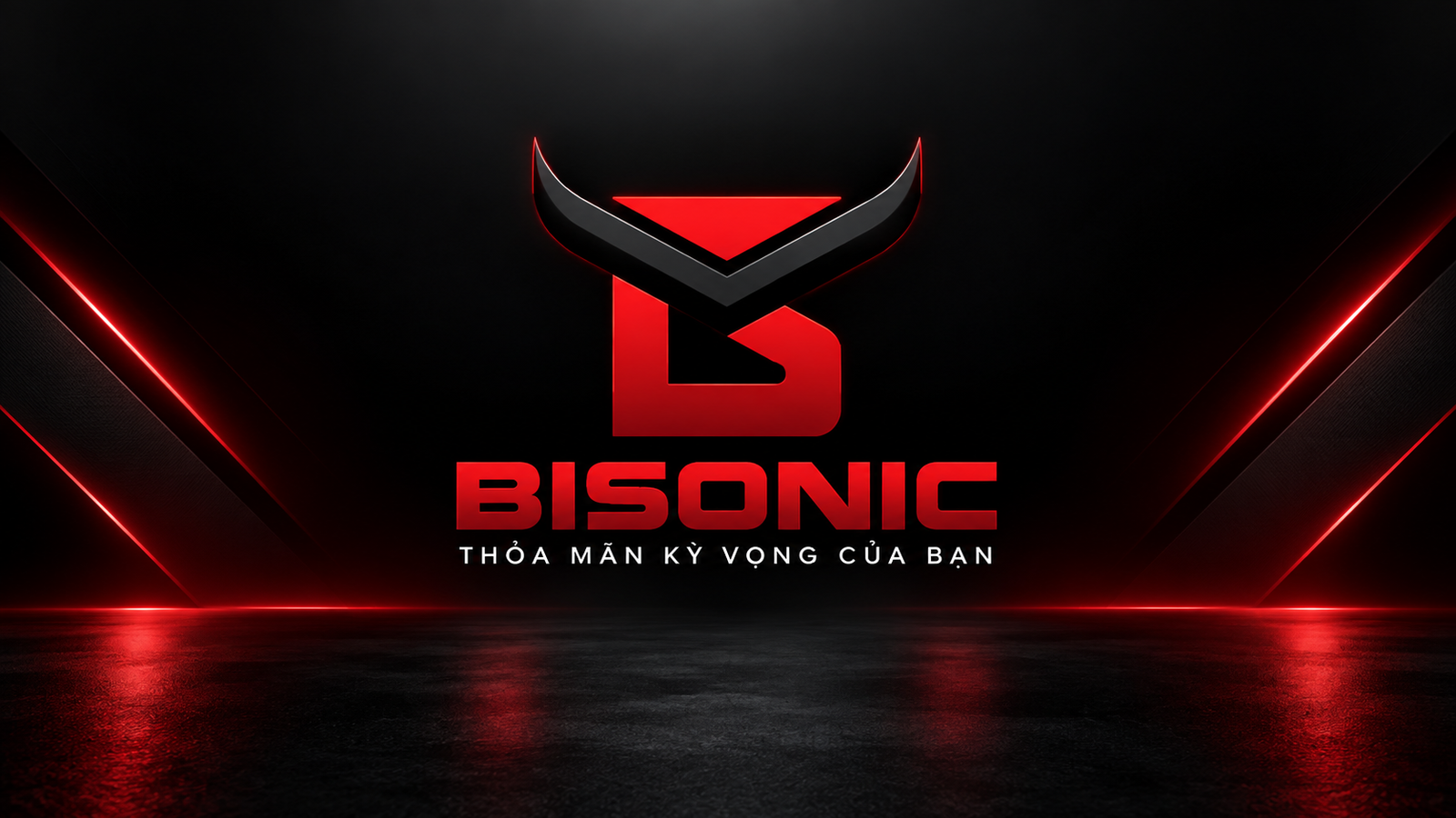 Trang chủ bisonic logo